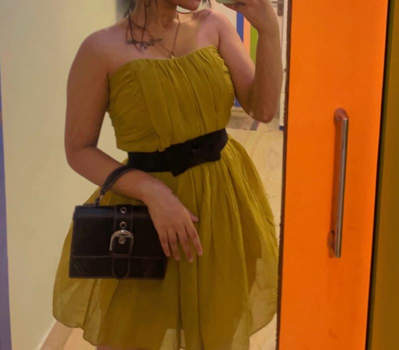 Mini Skater Dress Without Belt