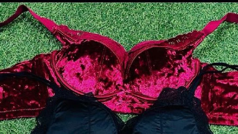 34 only 1 piece Velvet Lace Bra