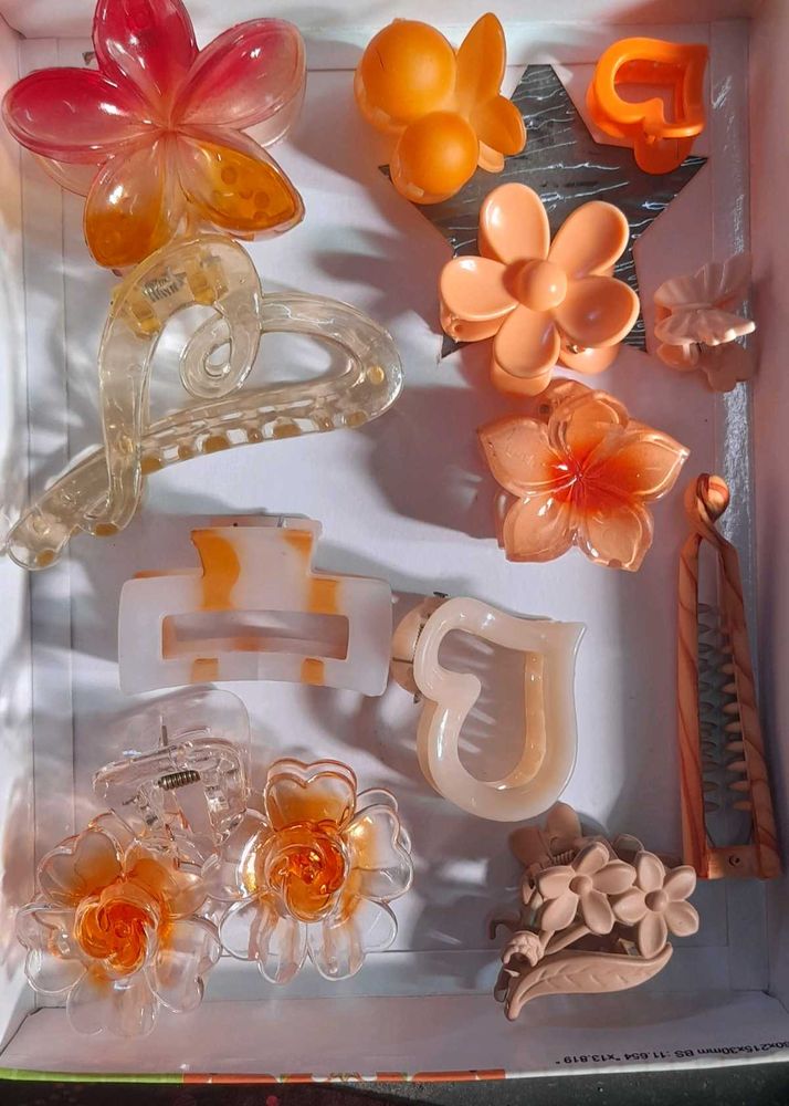 Assorted Hair Claw Clips Set