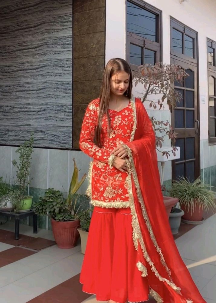 Red Colour Sharara