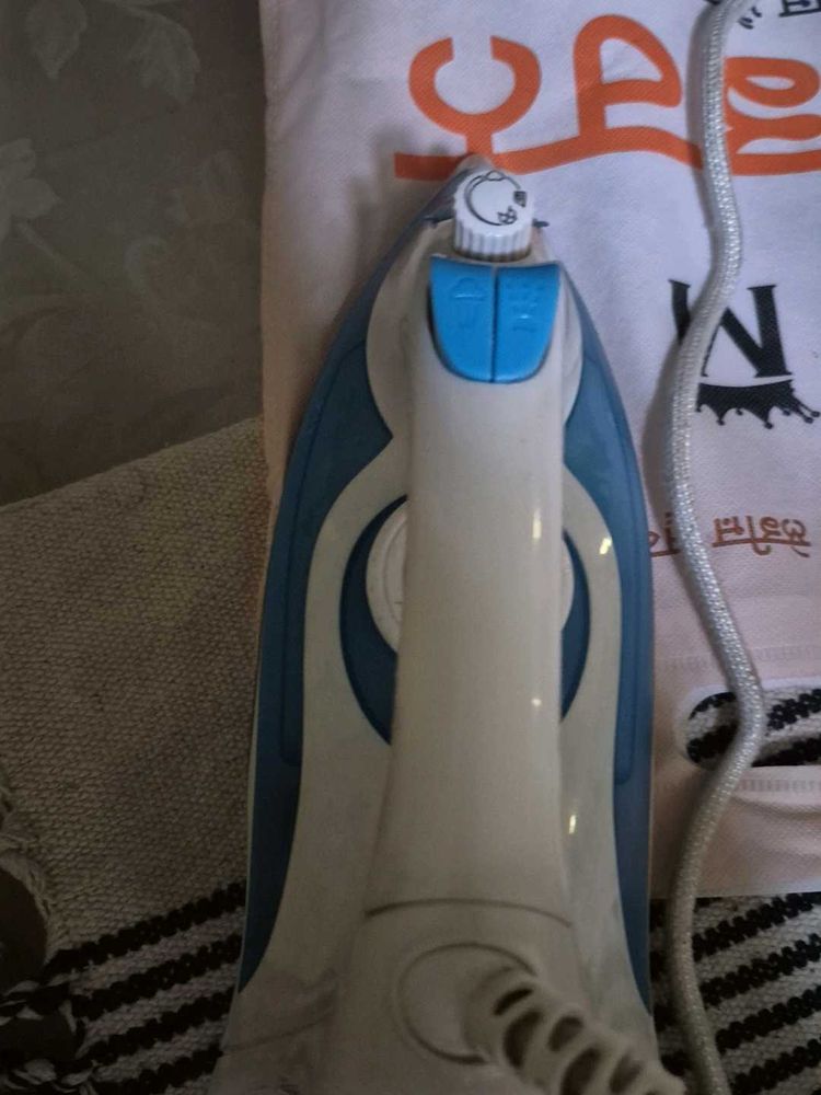Electric steam iron