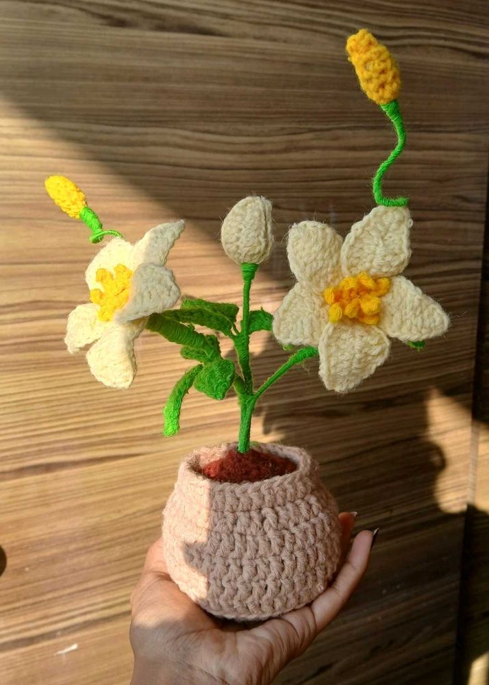 Handmade Crochet Flower Plant