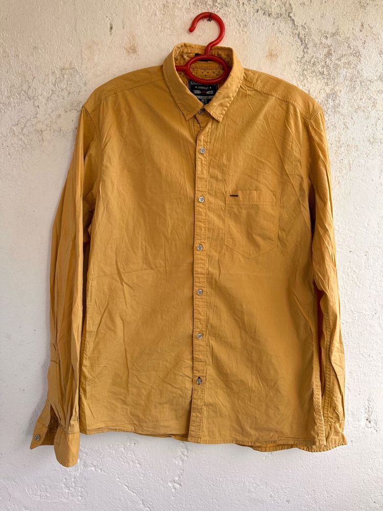 Men's Mustard Yellow Long Sleeve Shirt