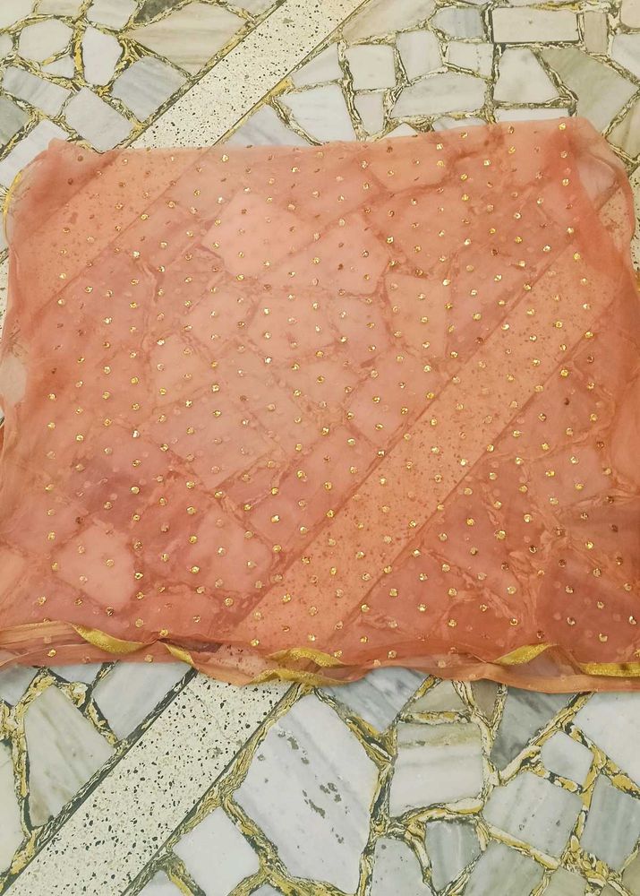Peach Dupatta with Gold Embellishments