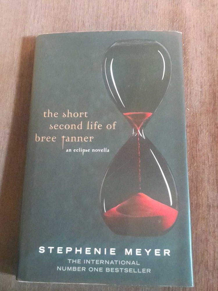 The short second life of Bree Tanner