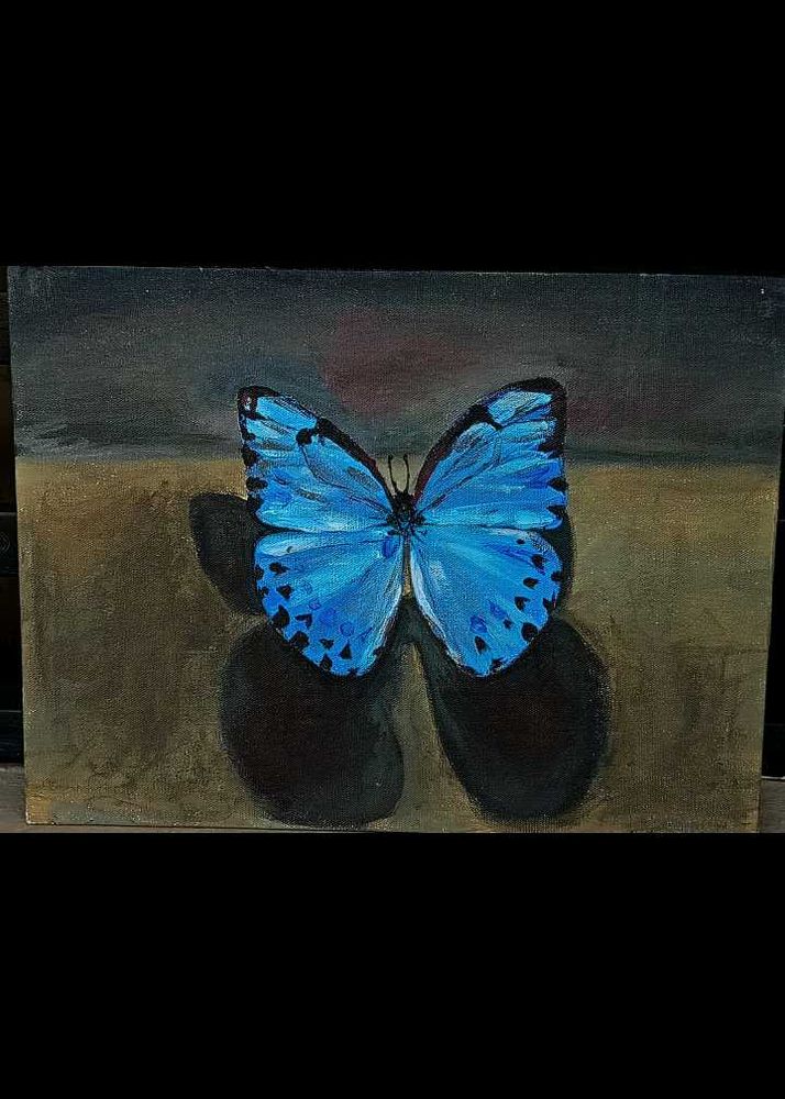 Butterfly Art