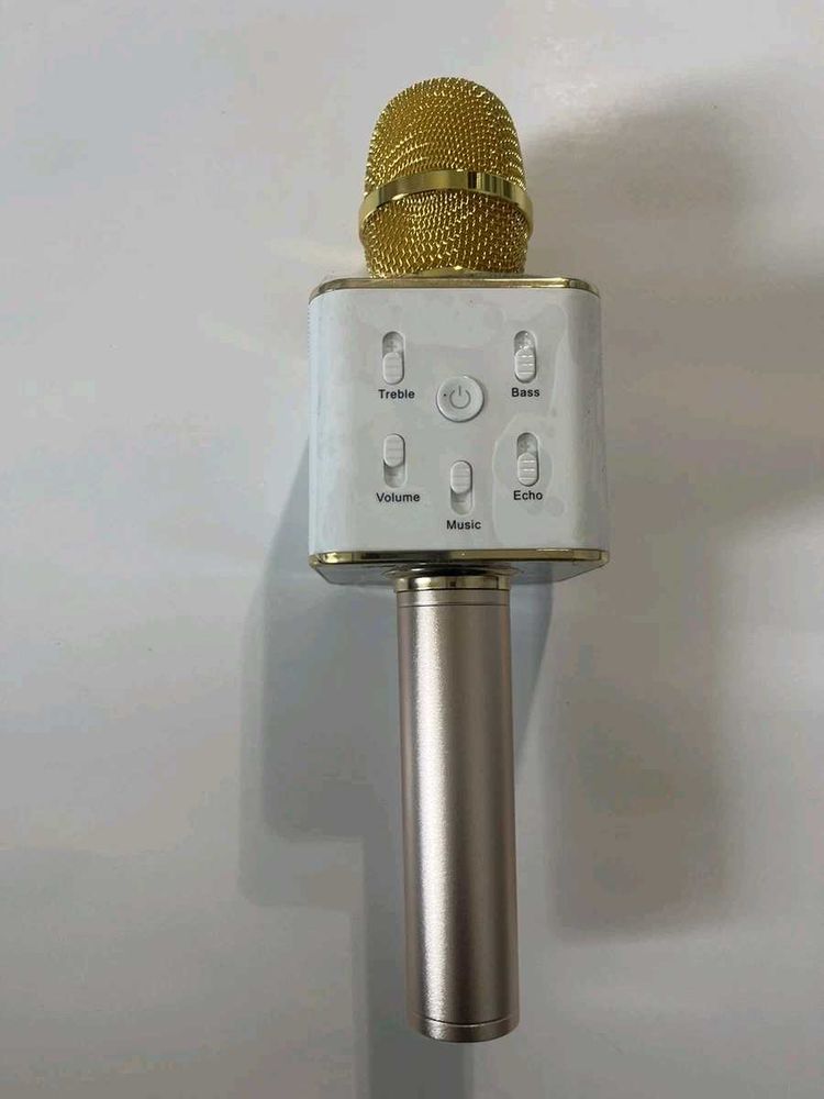 Portable Karaoke Microphone with Case
