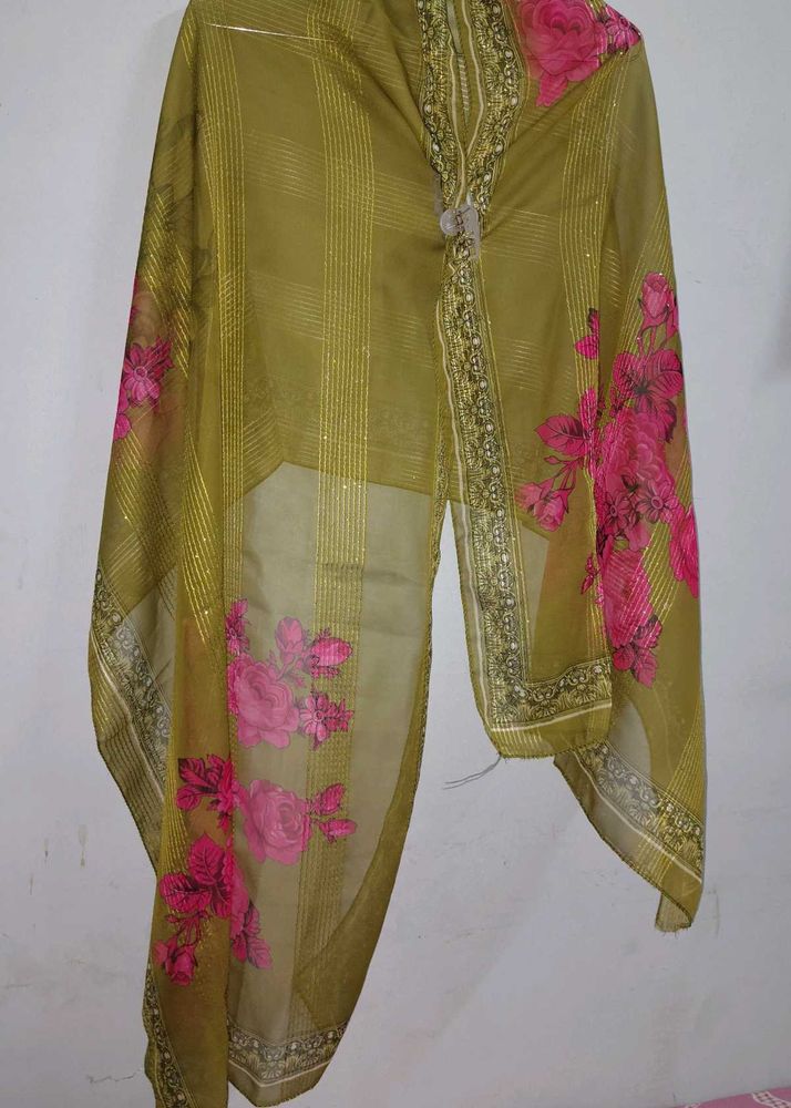 navratri heavy Dupatta net sequence green red
