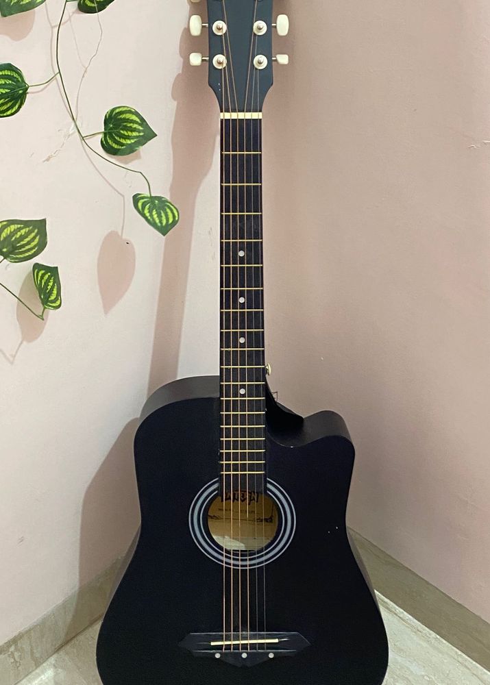 Acoustic Guitar