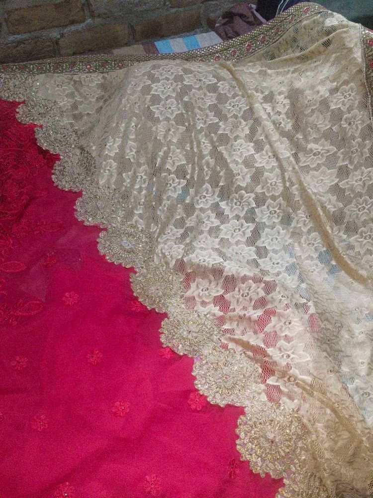 Elegant Lace Saree