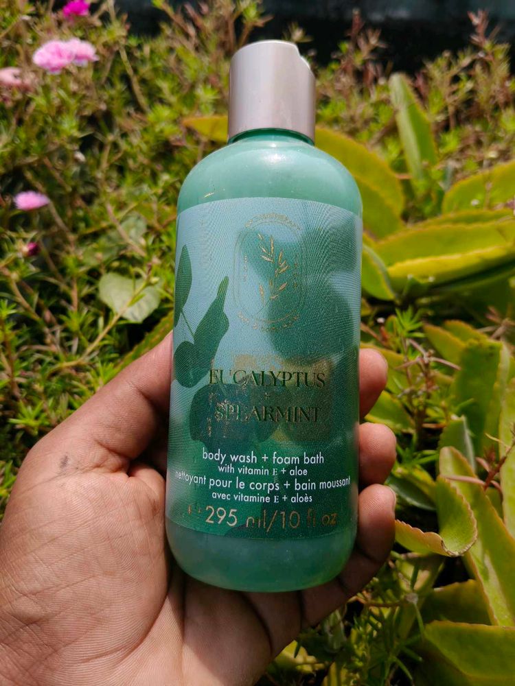 Eucalyptus Spearmint Body Wash &amp; Foam Bath