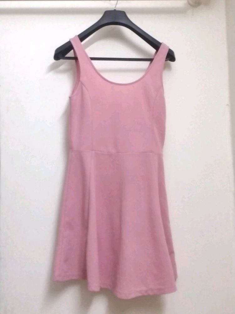 Ladies Top