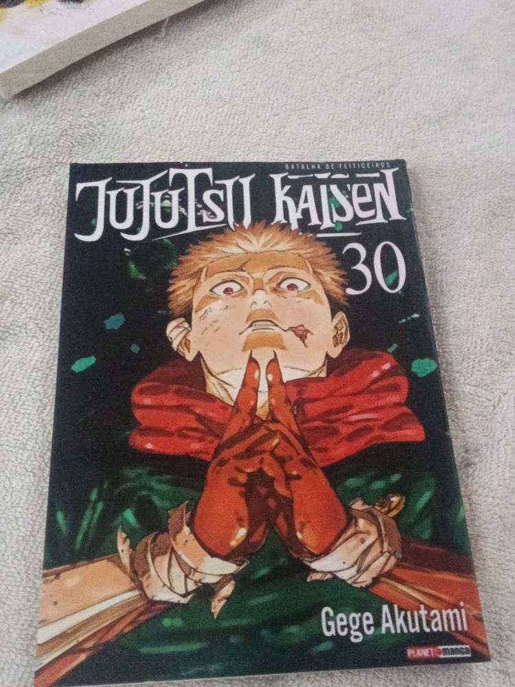 Jujutsu Kaisen Manga Vol. 30