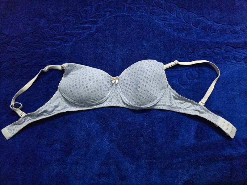 Comfortable Lightly Padded Bra