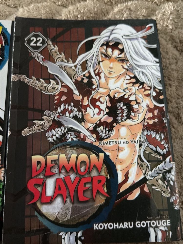 Demon Slayer: Kimetsu no Yaiba Vol. 22,23 Manga