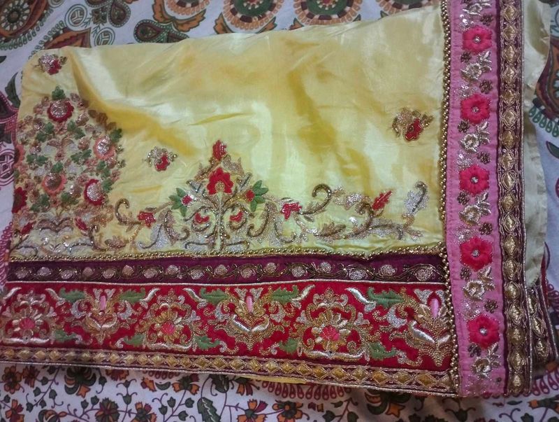 Elegant Embroidered Saree Without Blouse