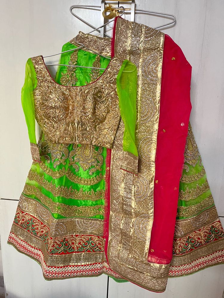 Embroidered Green Lehenga Skirt