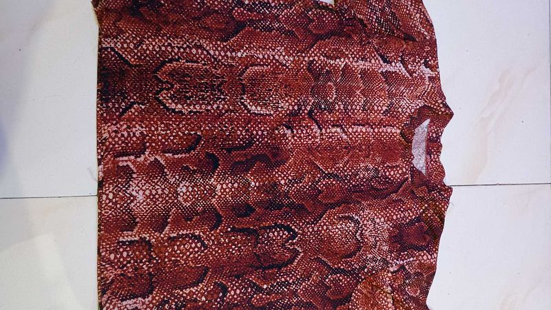 Stylish Snake Print Top