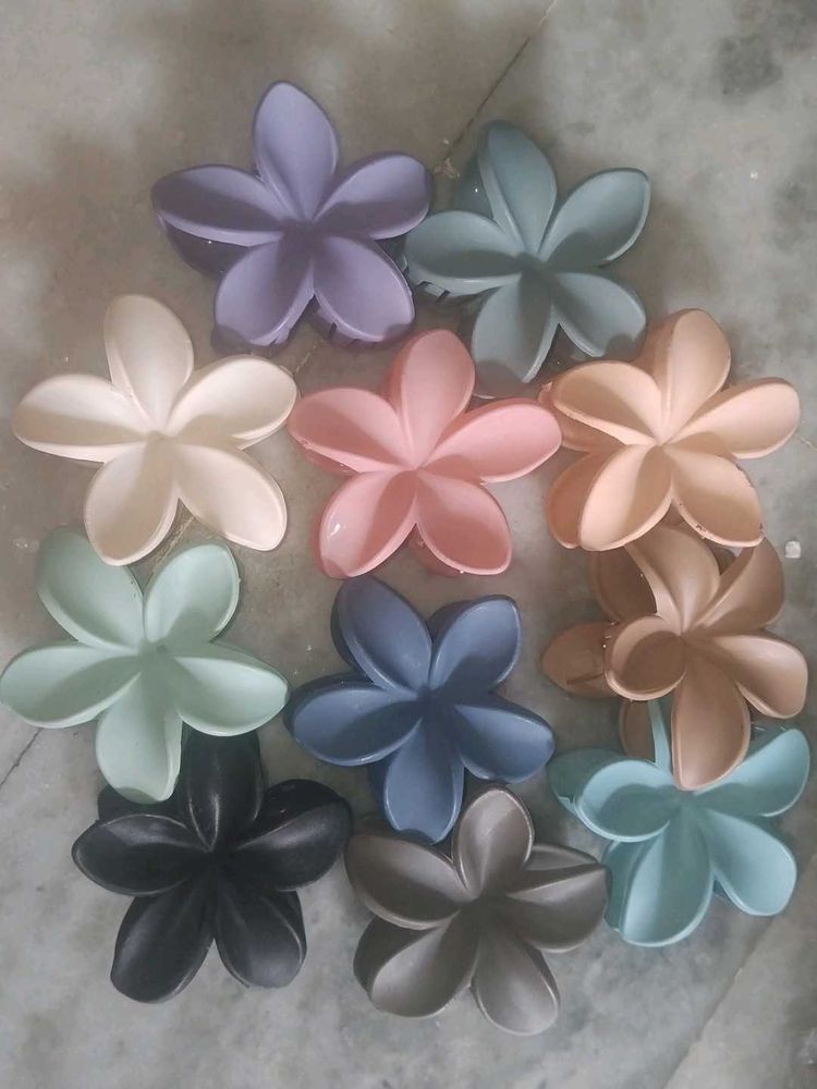 Set of 10 Flower Hair Claw Clips