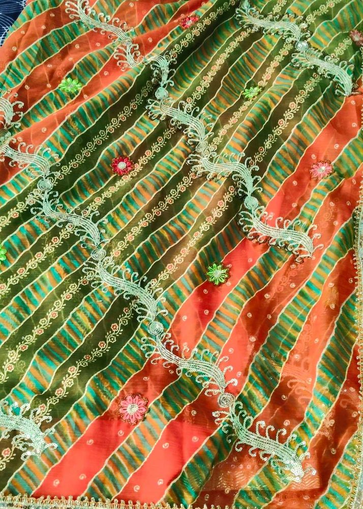 Vibrant Striped Embroidered Saree