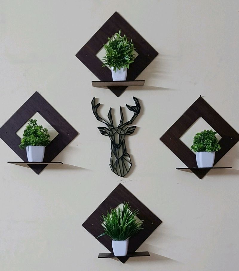 4 Wall Shelves