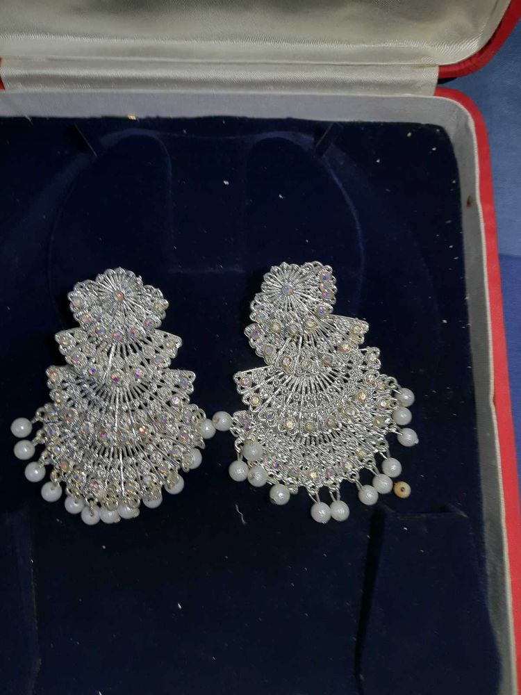 Elegant Silver Tone Earrings