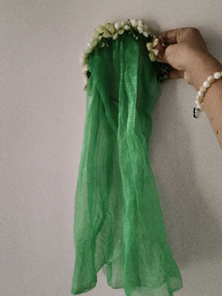 Green Dupatta with Floral Embellishments