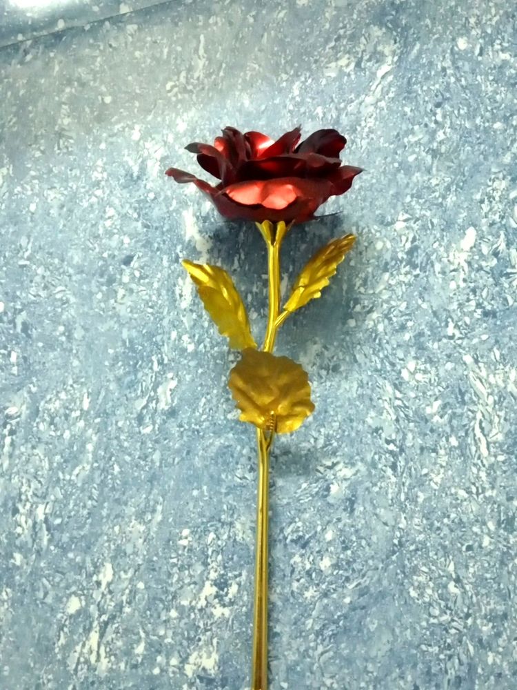 Golden stem Rose