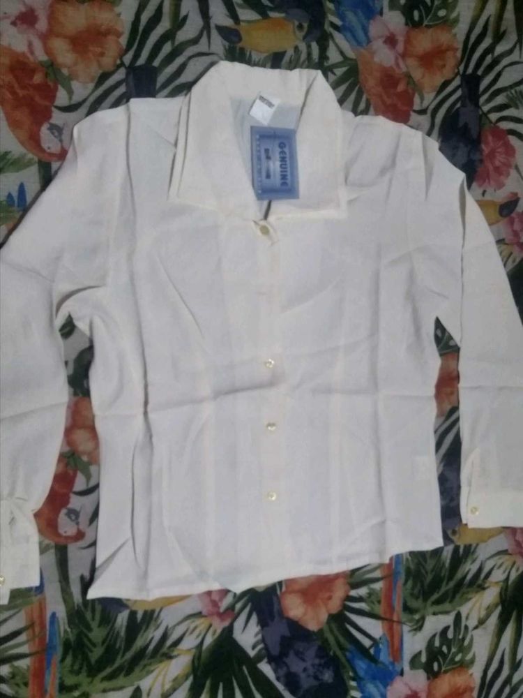 Elegant Cream Blouse