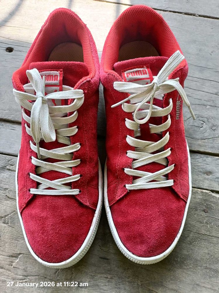 puma suede sneakers for men
