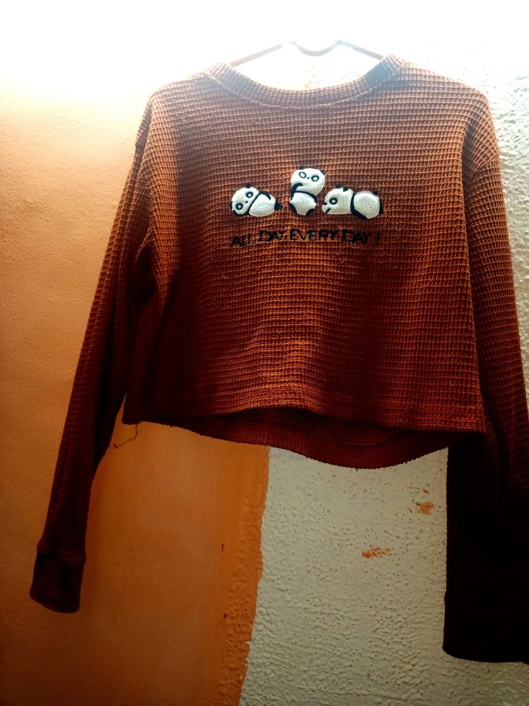 Crop Top With Qute Deddy Print