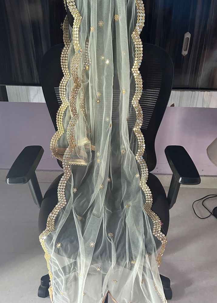 Elegant Net Duppatta