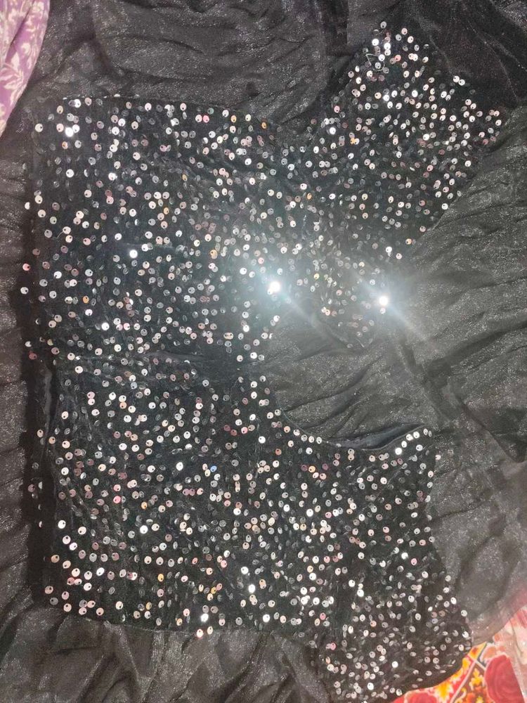 Sparkling Sequin Blouse  freel lahanga  dup