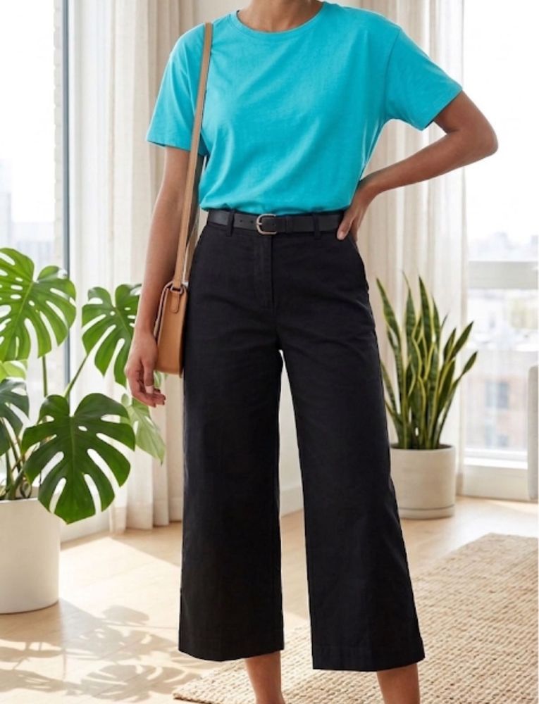 Ann Taylor Classic Black Professional Capri