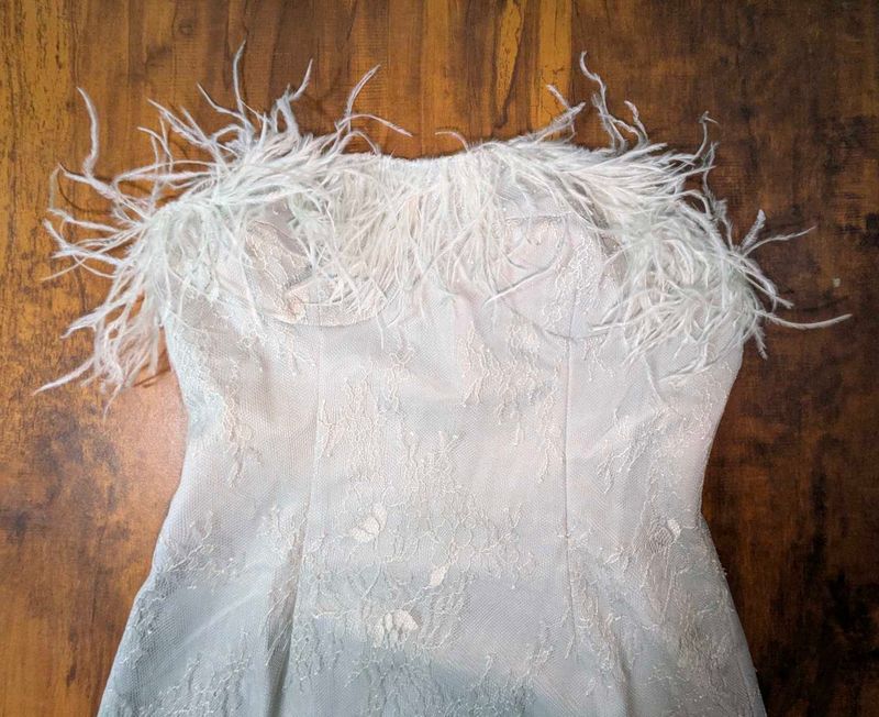 Feather Trim Strapless Dress