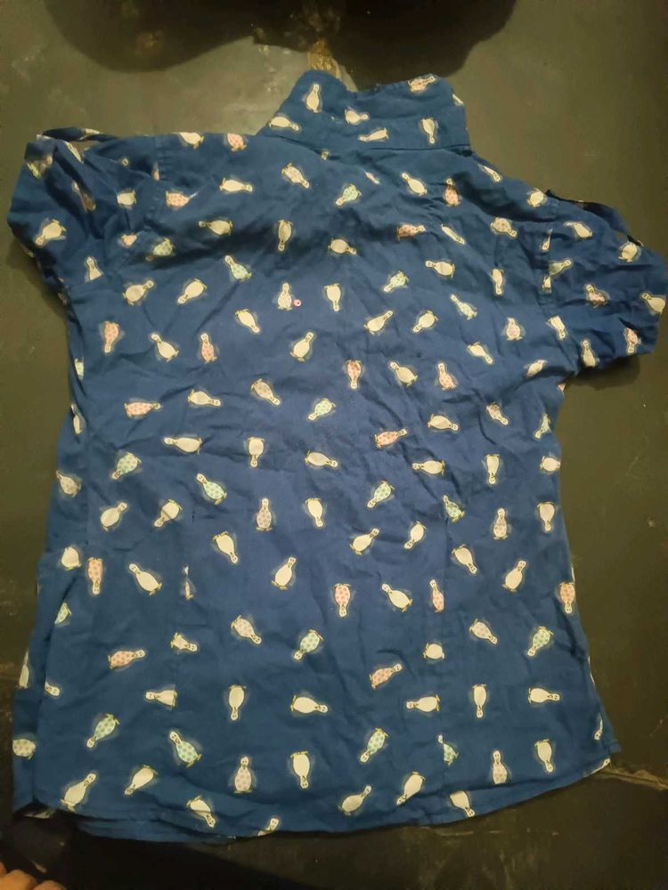 Men's and women's both Blue Penguin Print Shirt