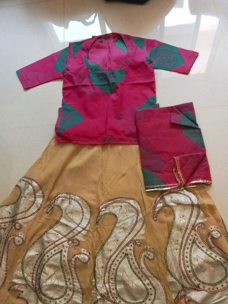 Designer Lehenga Choli Set