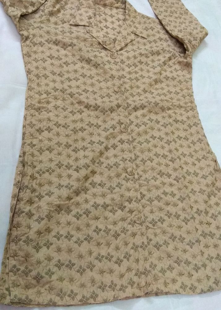 Pure Cotton Chikankari Kurti