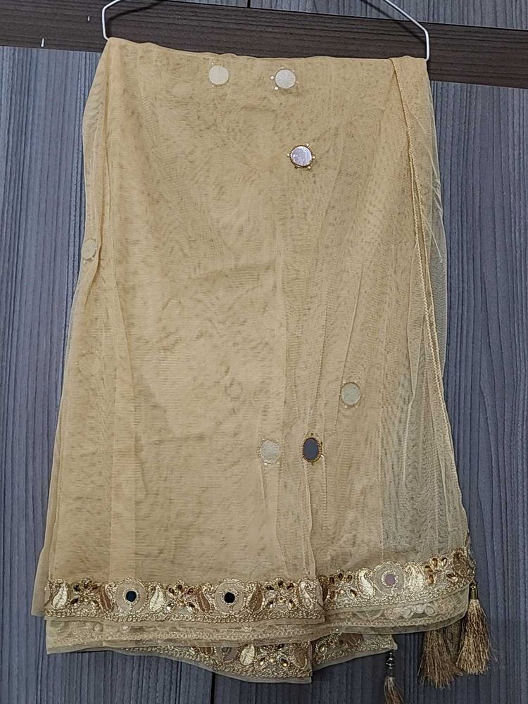 Beige Embroidered net Dupatta