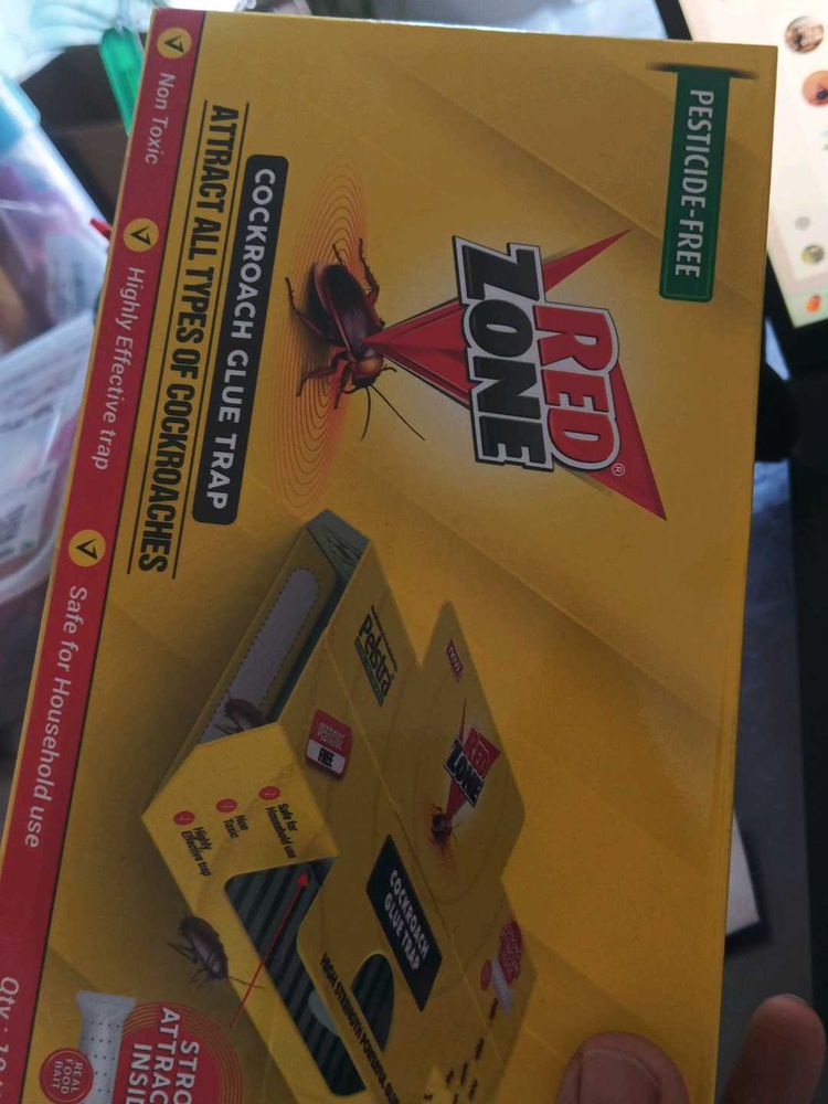 Coackroch Glue Trap