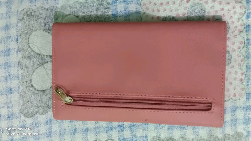 Baggit Brand Clutch