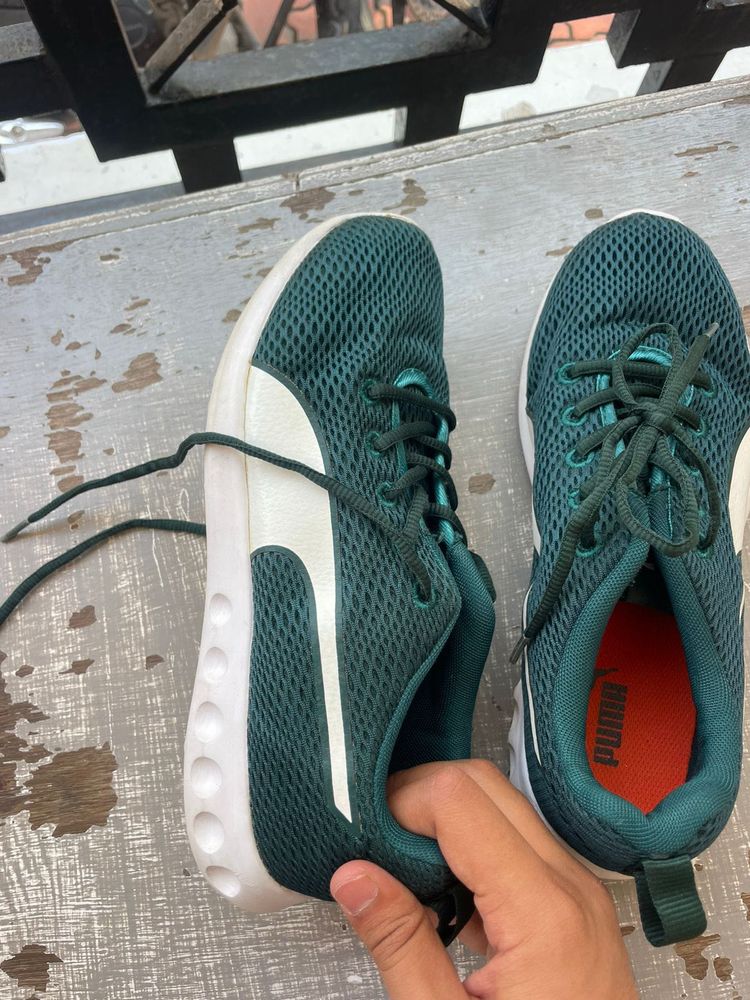 Puma Green Mesh Sneakers