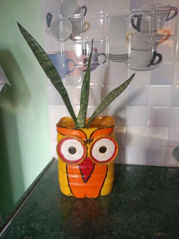 Owl Planter