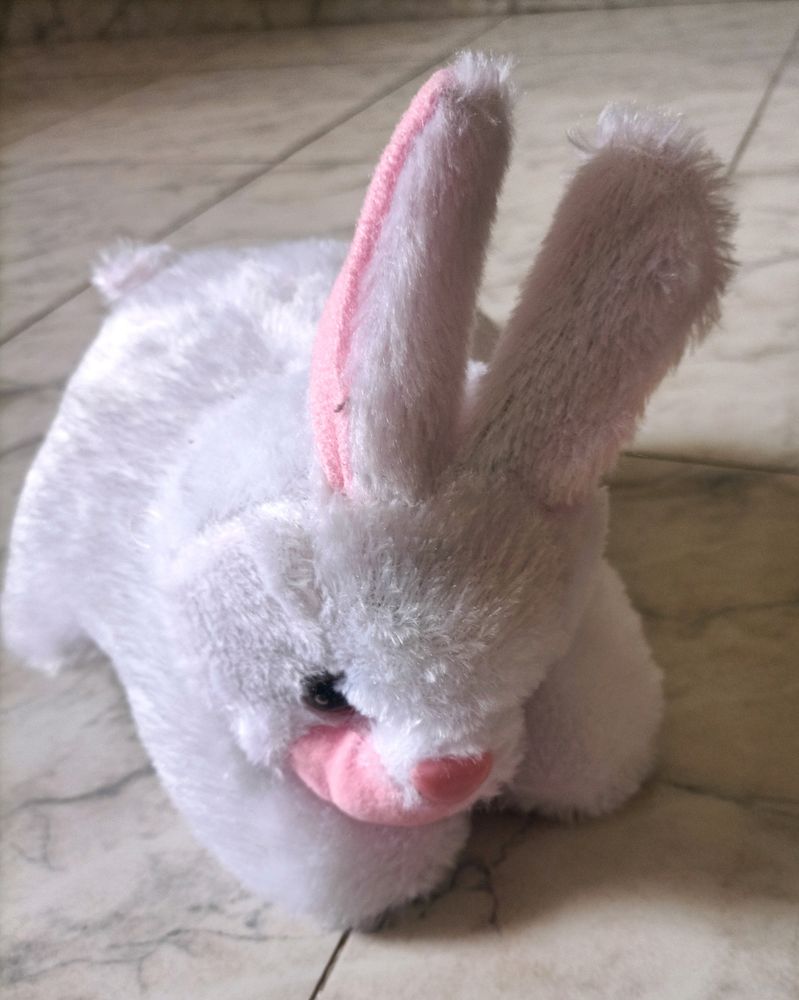 White  Rabbit Soft Toy