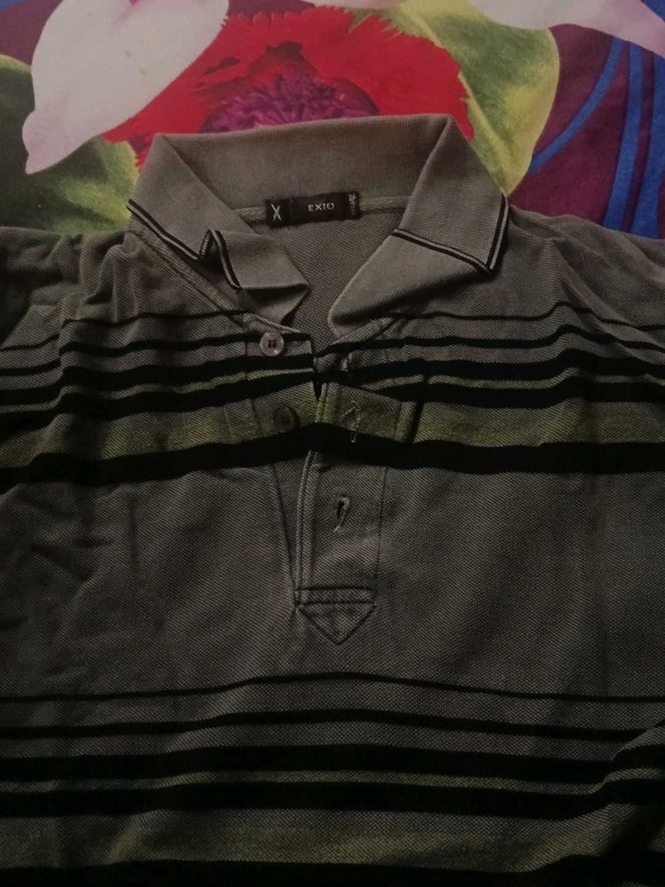 Beautiful Polo T Shirt Like New.