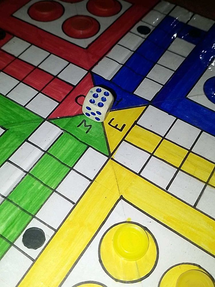 ITS A LUDO HOME MADE
