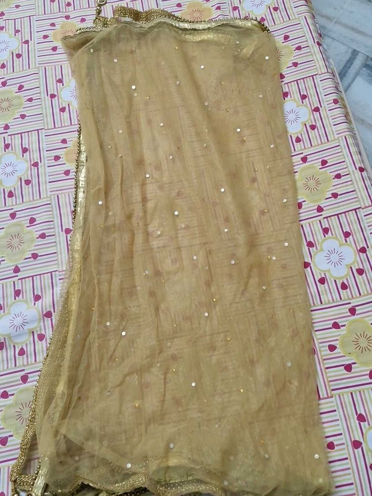 Gold Embellished Skirt With Dupatta