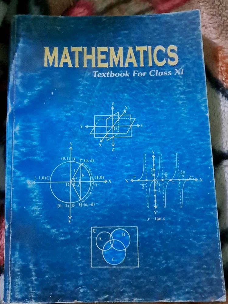 NCERT Mathematics Textbook Class XI