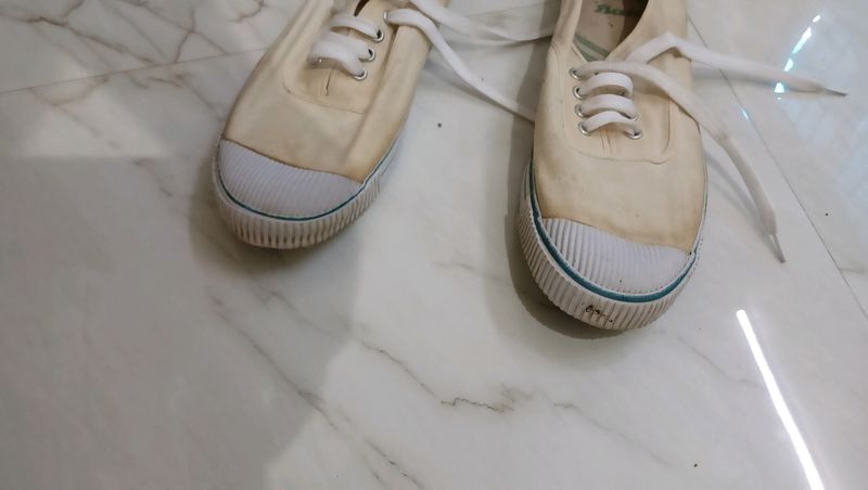 White Canvas School Sports Shoes.