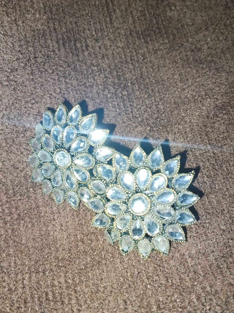 Stunning Statement Earrings